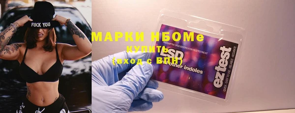 стаф Вяземский