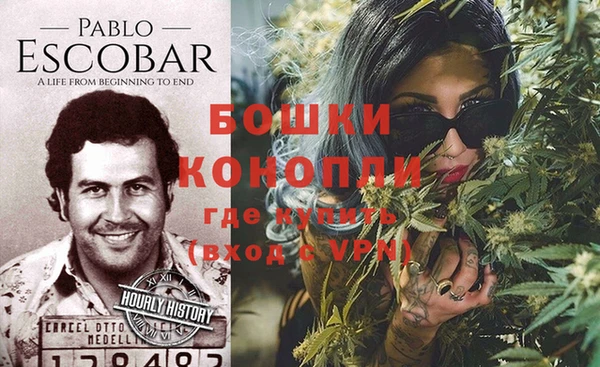 стаф Вяземский