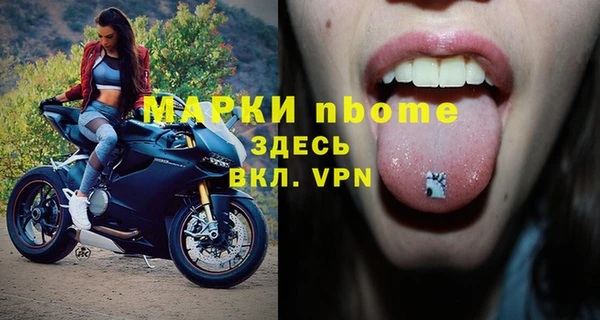 стаф Вяземский