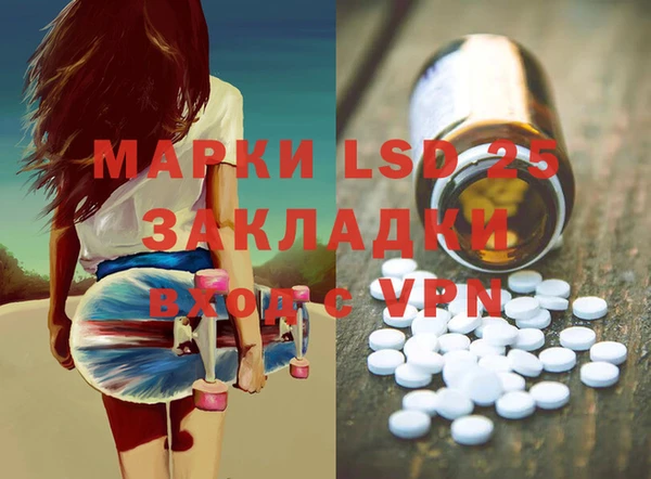 стаф Вяземский