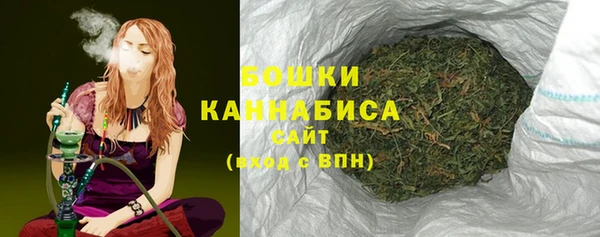 стаф Вяземский