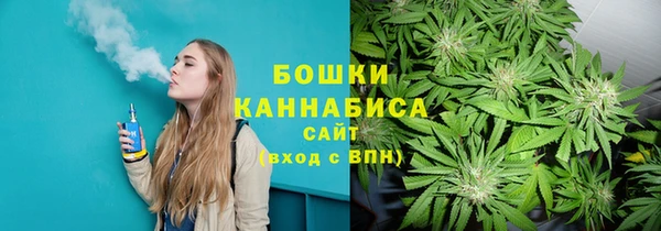 стаф Вяземский