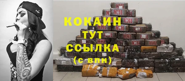 стаф Вяземский