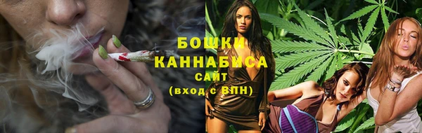 стаф Вяземский