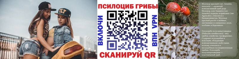 Псилоцибиновые грибы мицелий  Купить закладки  Оса 